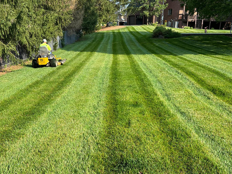 Mowing and Lawn Maintenance