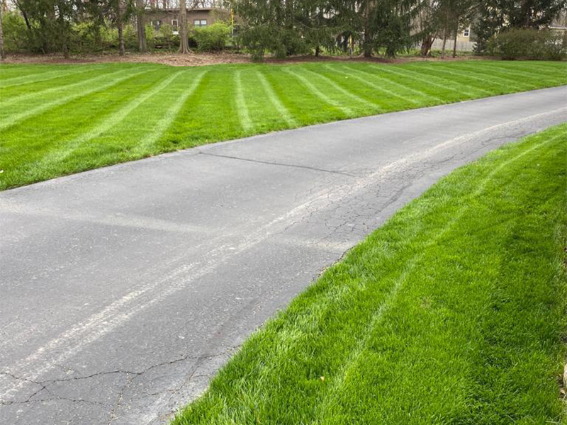 Beautiful maintained lawn by Tony Landscaping